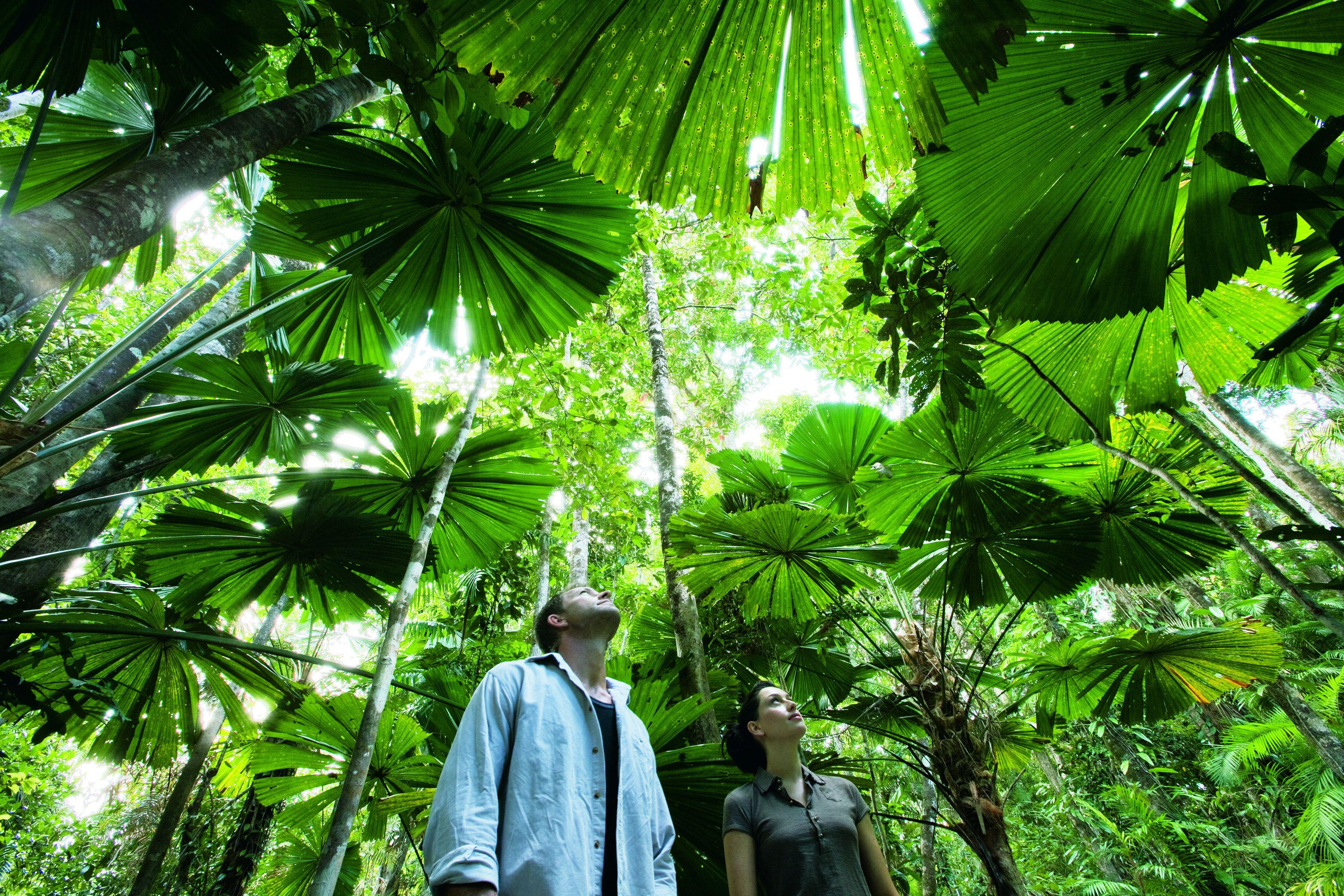 Where to Stay in Cairns Beaches: 4 Best Central Hotels