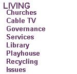 Catchall of social and resident information--history, library, government, recycling, etc.