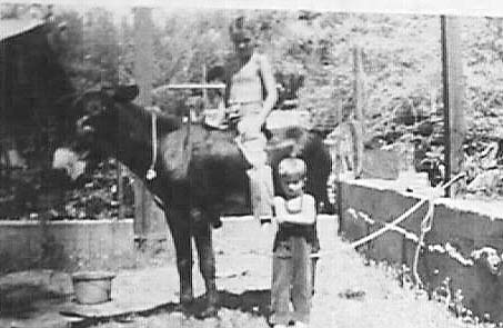 Author on a donkey--Medical Doctor